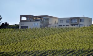 Photo Wormeldange – Domaine viticole Pundel Vins purs